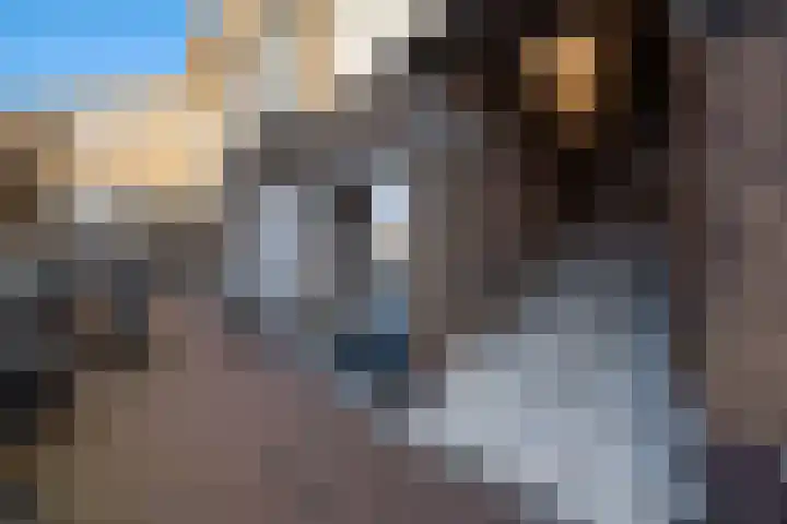 Notenstraat 13 Den Haag thumbnail 4