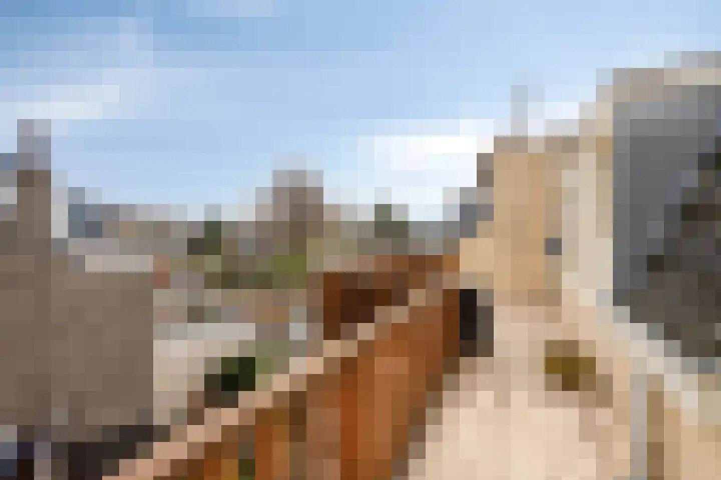 Notgerusweg 1 Maastricht thumbnail 33