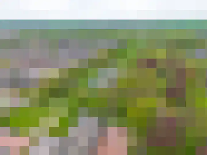 Notoaristuun 16 Grootegast thumbnail 12
