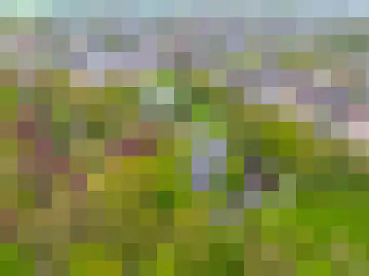 Notoaristuun 16 Grootegast thumbnail 13