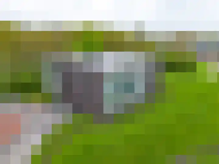 Notoaristuun 16 Grootegast thumbnail 14
