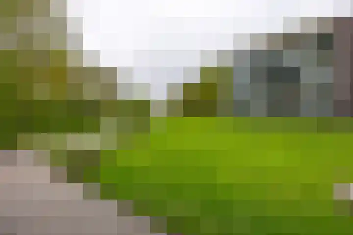 Notoaristuun 16 Grootegast thumbnail 16