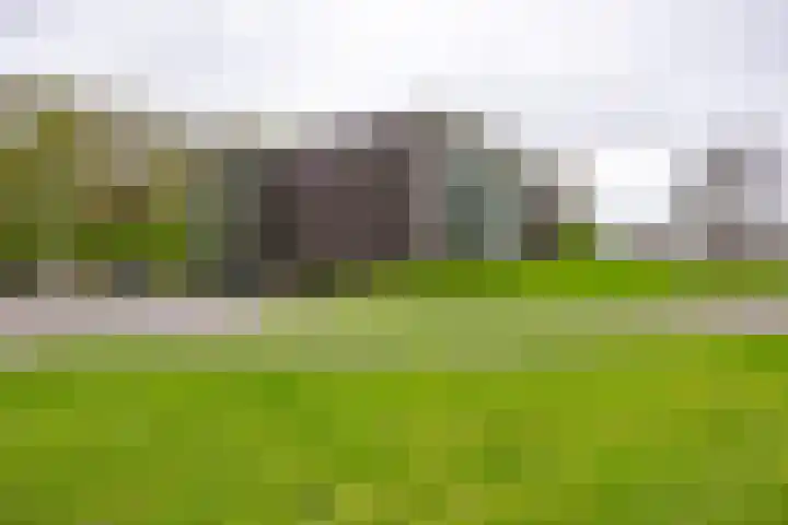 Notoaristuun 16 Grootegast thumbnail 18