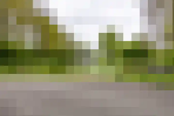 Notoaristuun 16 Grootegast thumbnail 19