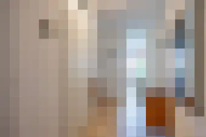 Notoaristuun 16 Grootegast thumbnail 29