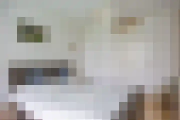 Notoaristuun 16 Grootegast thumbnail 4