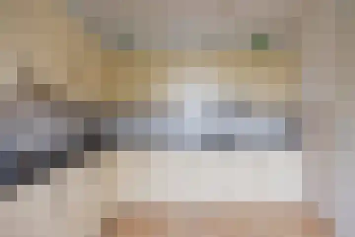 Notoaristuun 16 Grootegast thumbnail 40