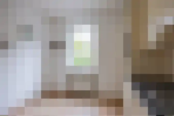 Notoaristuun 16 Grootegast thumbnail 41