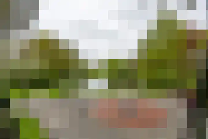 Notoaristuun 16 Grootegast thumbnail 42