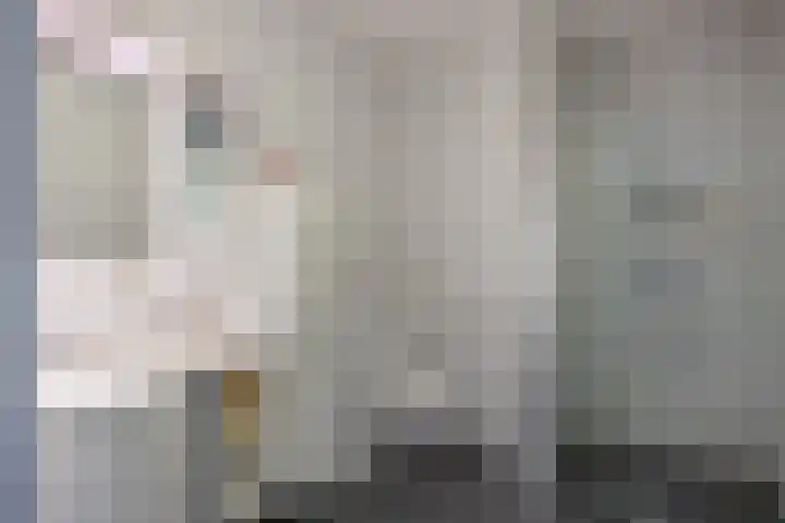 Notoaristuun 16 Grootegast thumbnail 48