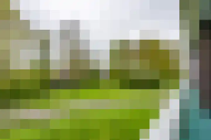 Notoaristuun 16 Grootegast thumbnail 58