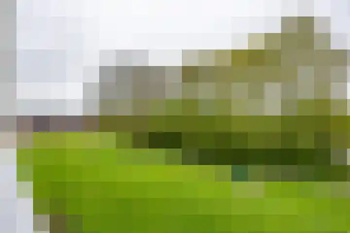 Notoaristuun 16 Grootegast thumbnail 59