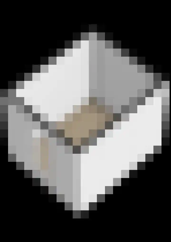 Notoaristuun 16 Grootegast thumbnail 63
