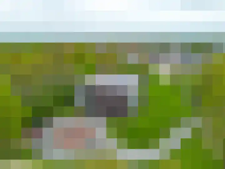 Notoaristuun 16 Grootegast thumbnail 8