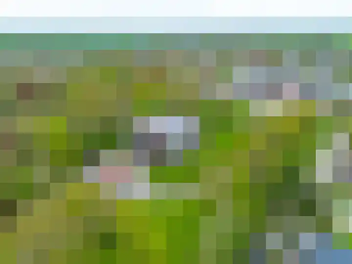 Notoaristuun 16 Grootegast thumbnail 9