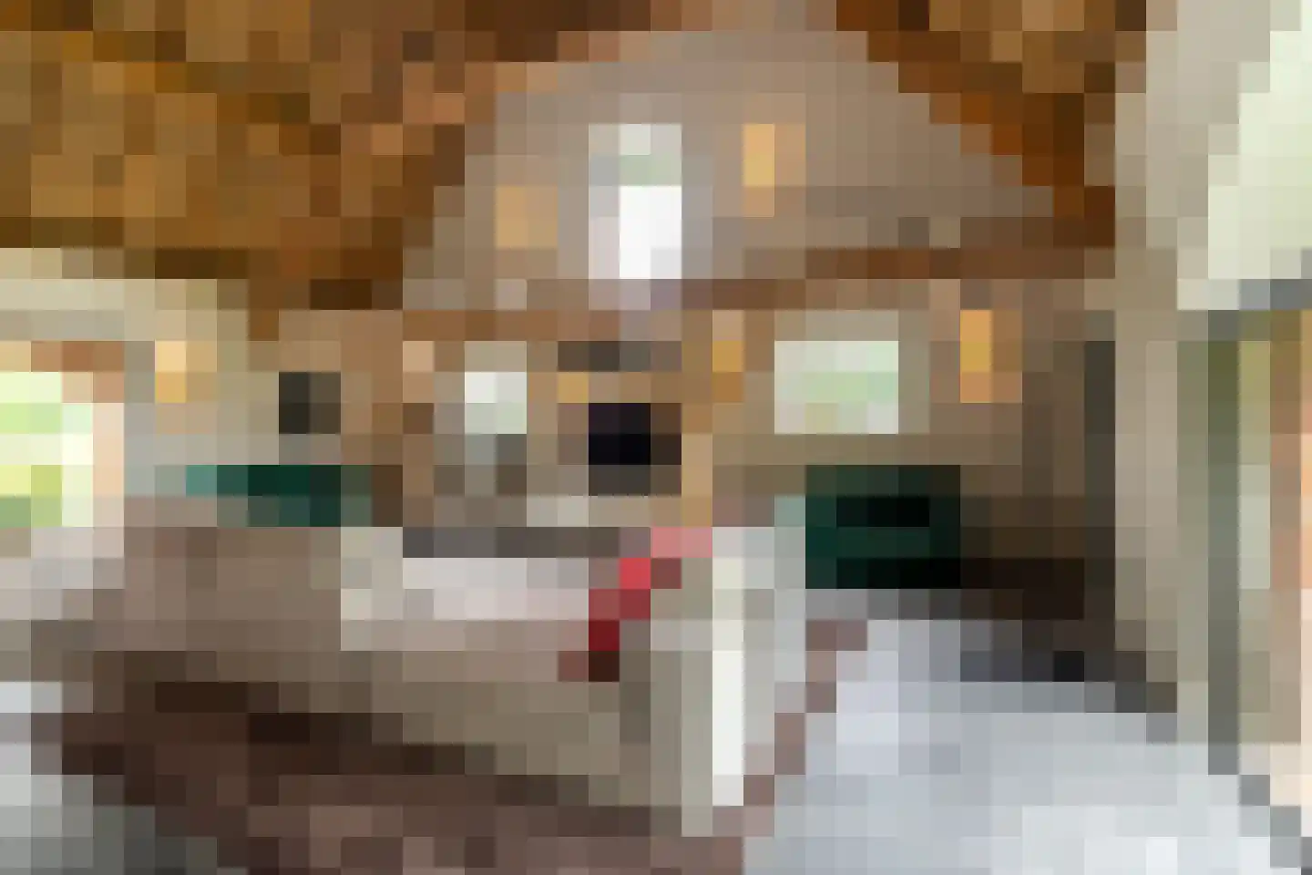 Notselseweg 1 Strijbeek thumbnail 11