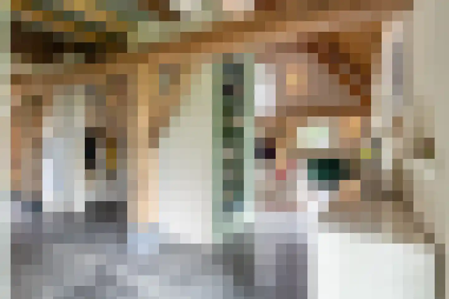 Notselseweg 1 Strijbeek thumbnail 16