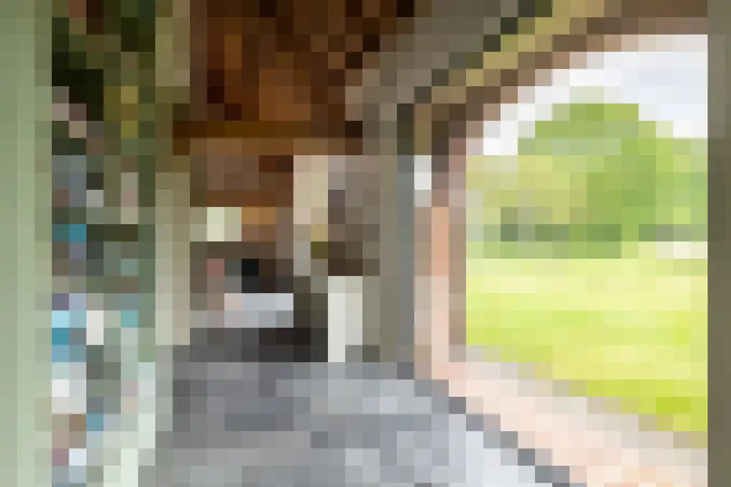 Notselseweg 1 Strijbeek thumbnail 17
