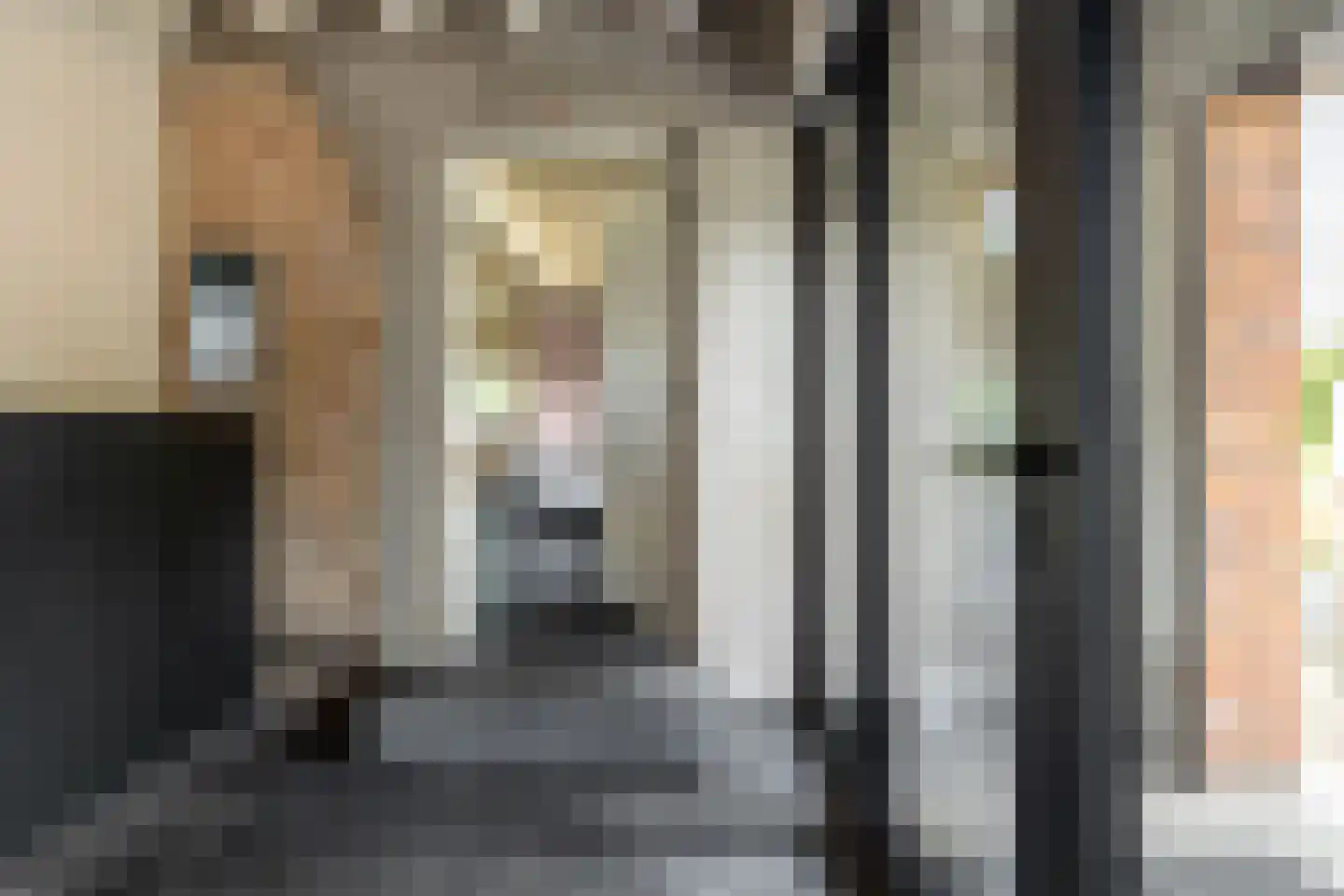 Notselseweg 1 Strijbeek thumbnail 26