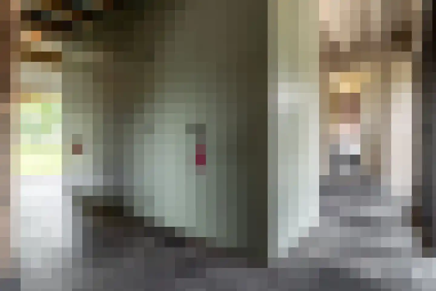Notselseweg 1 Strijbeek thumbnail 36