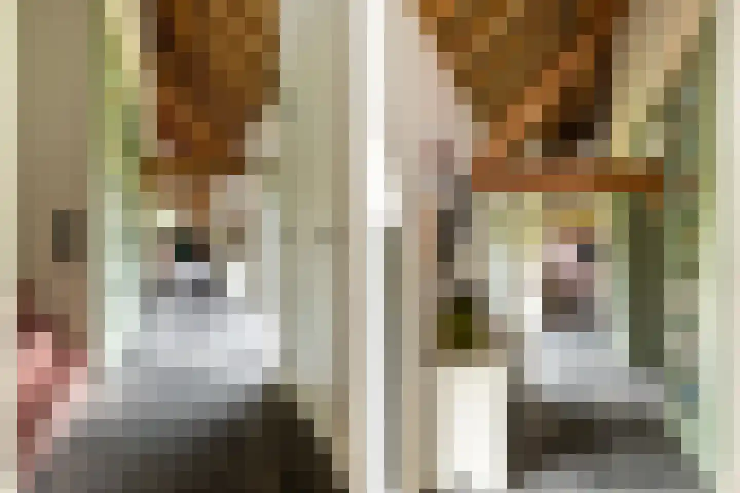 Notselseweg 1 Strijbeek thumbnail 37