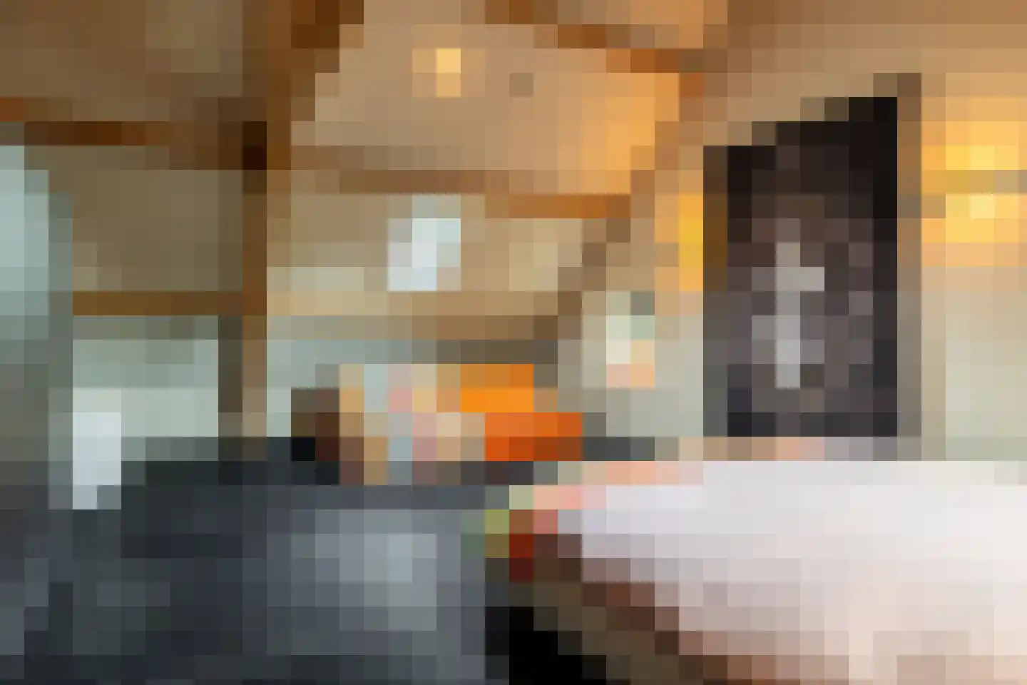 Notselseweg 1 Strijbeek thumbnail 41