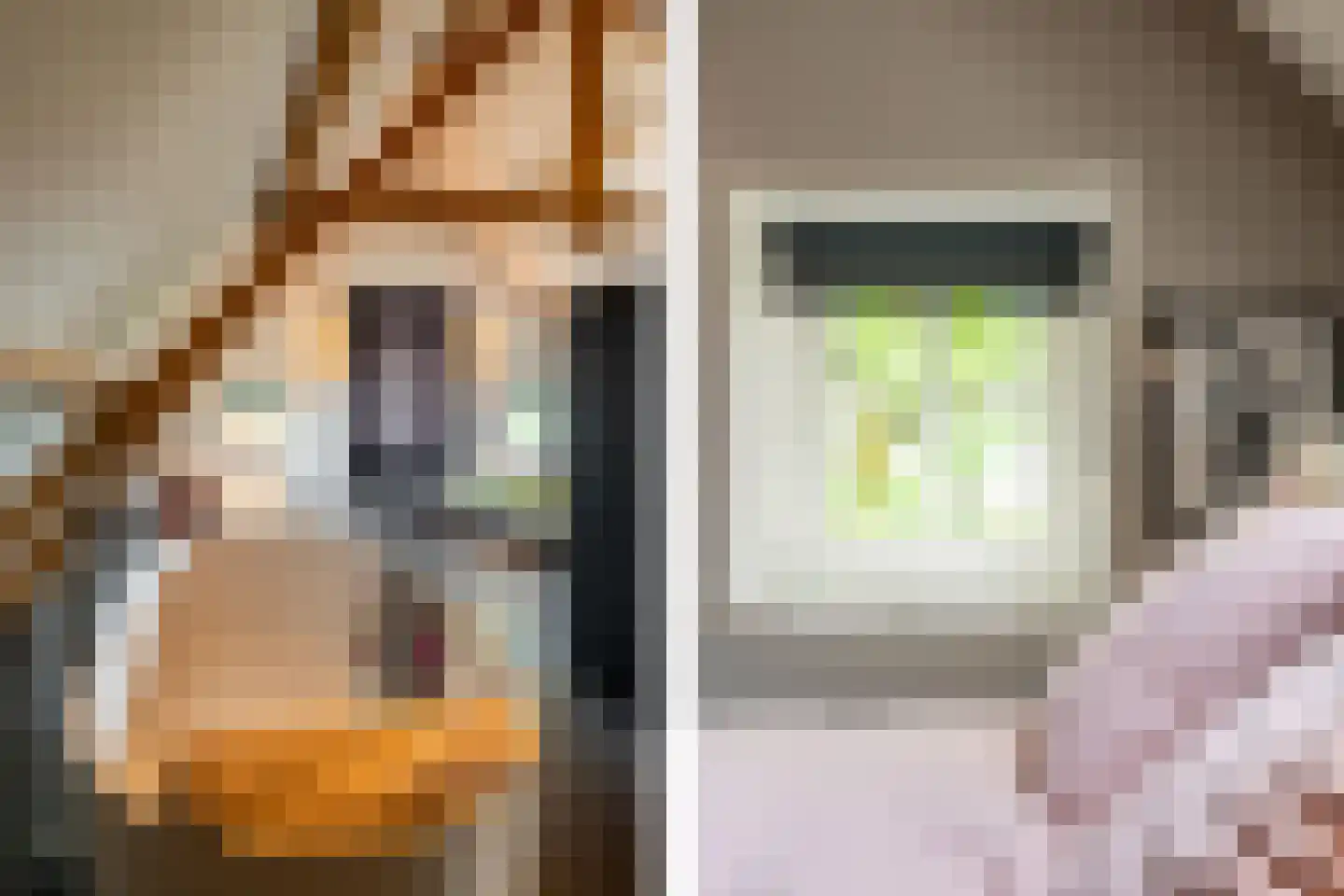 Notselseweg 1 Strijbeek thumbnail 43