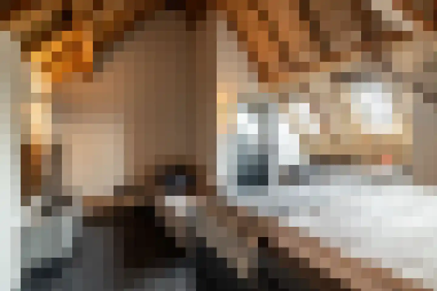 Notselseweg 1 Strijbeek thumbnail 49