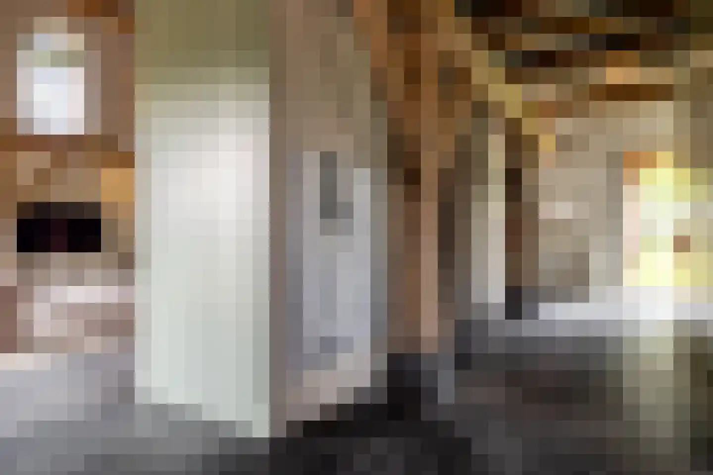 Notselseweg 1 Strijbeek thumbnail 5