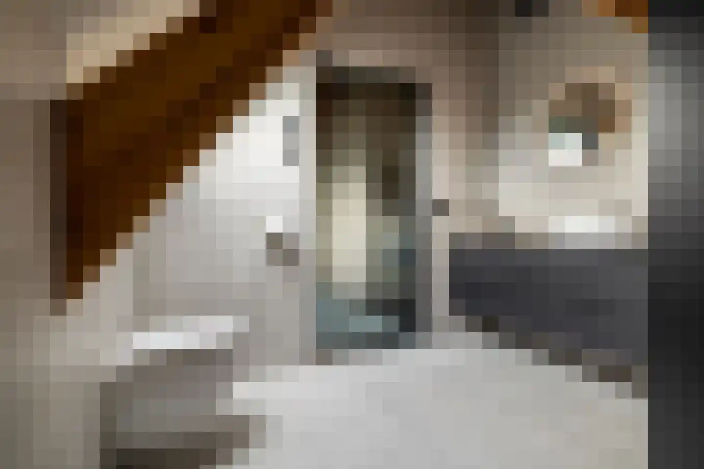 Notselseweg 1 Strijbeek thumbnail 51