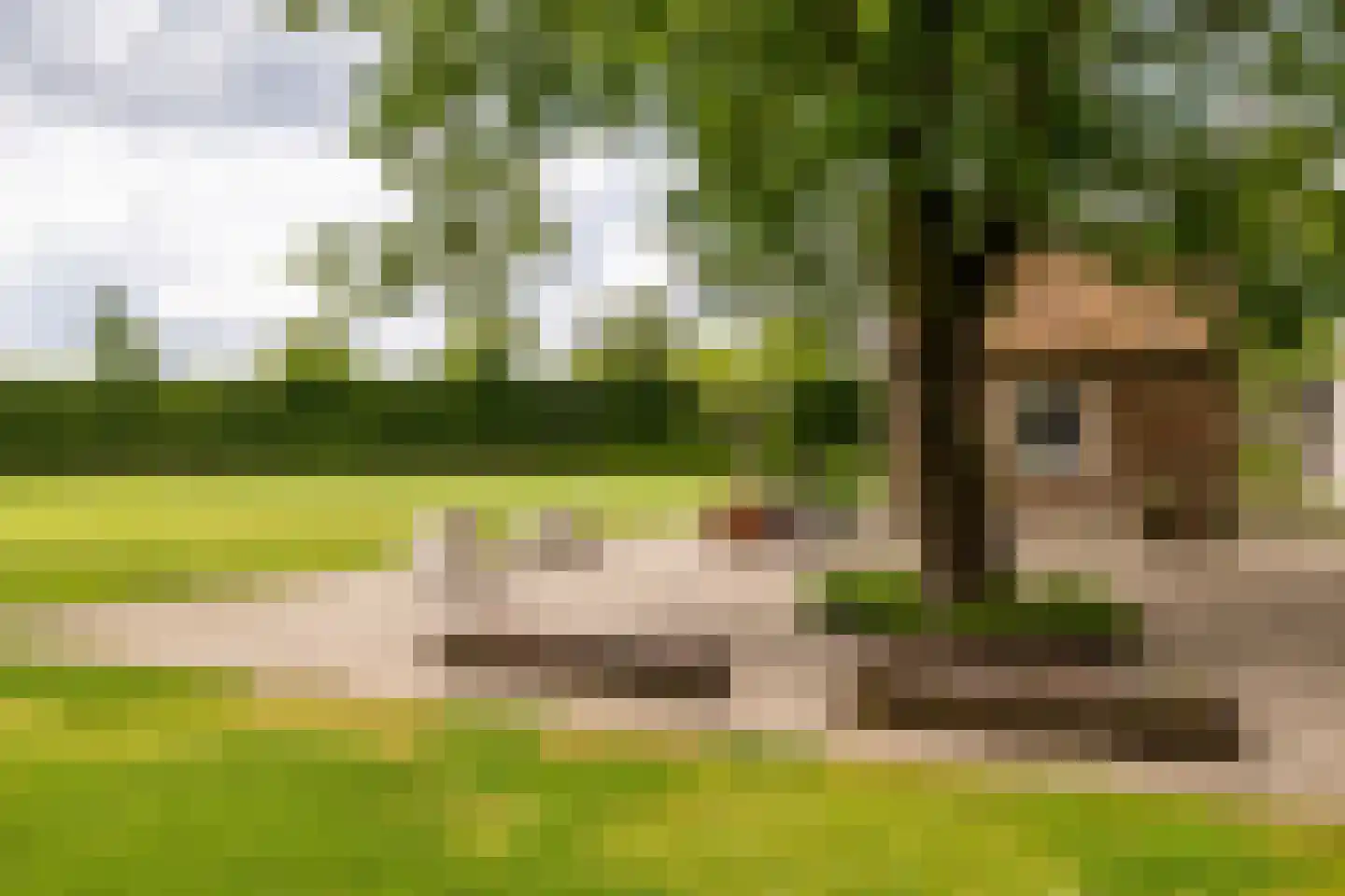 Notselseweg 1 Strijbeek thumbnail 55