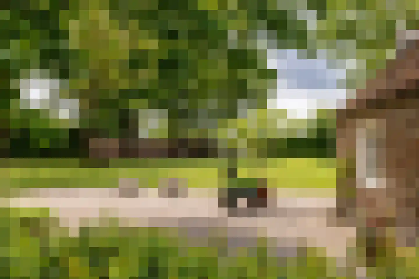 Notselseweg 1 Strijbeek thumbnail 57