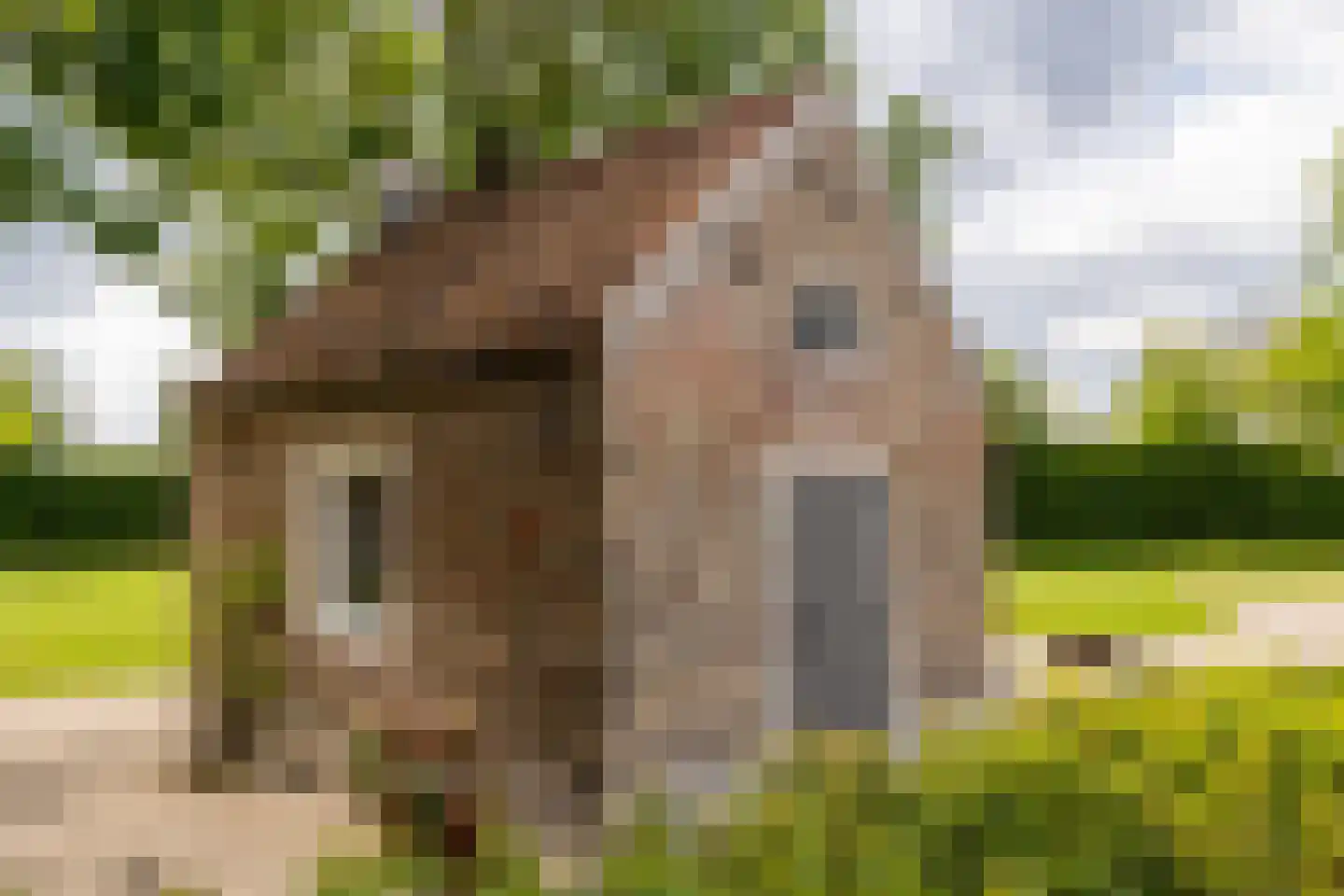 Notselseweg 1 Strijbeek thumbnail 58