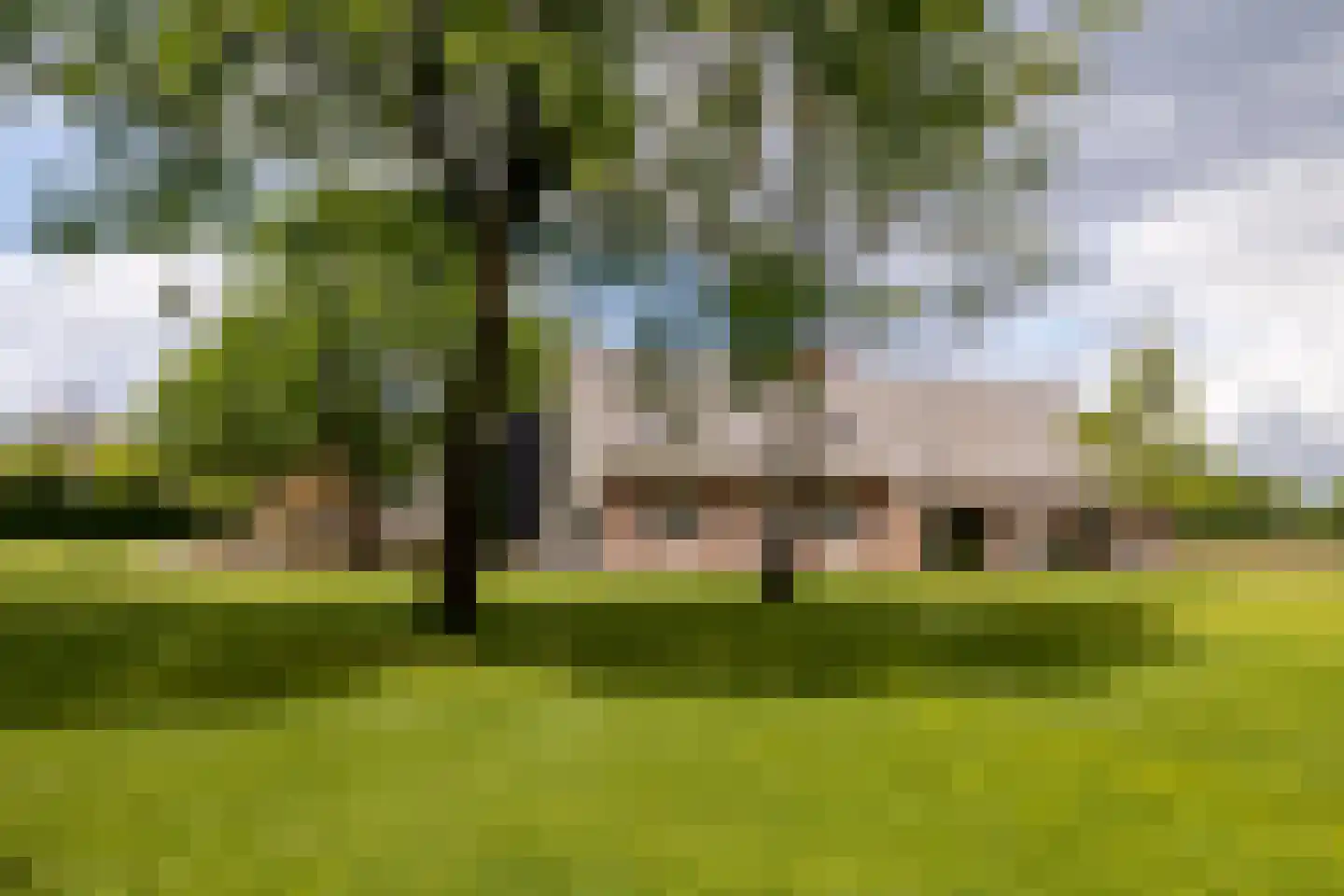 Notselseweg 1 Strijbeek thumbnail 64