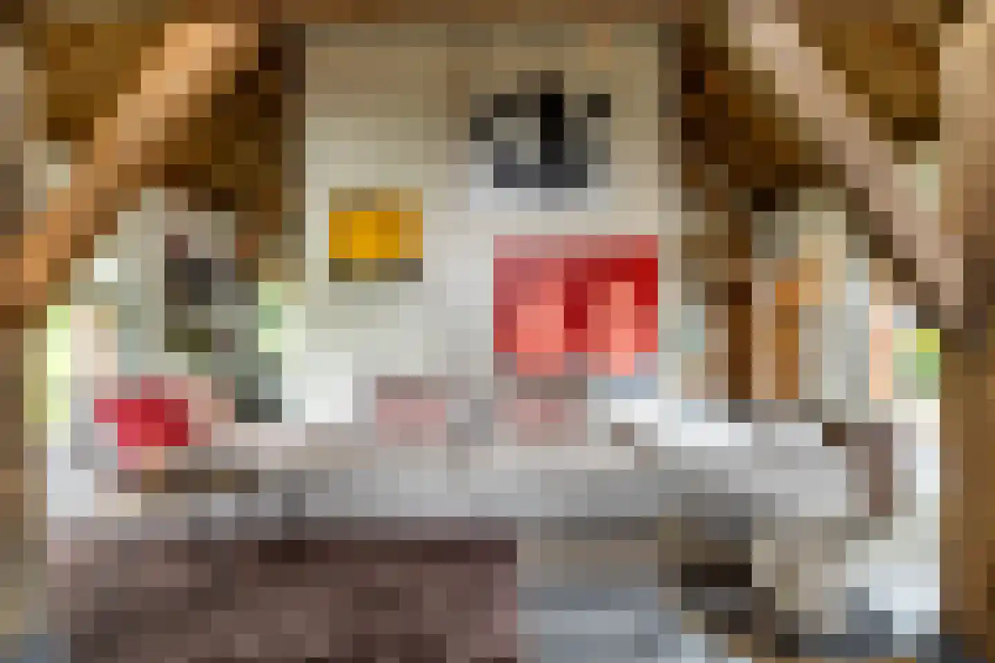 Notselseweg 1 Strijbeek thumbnail 7