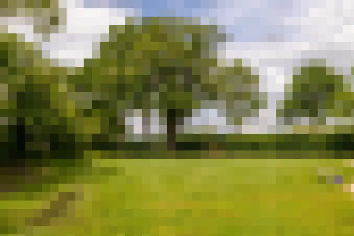 Notselseweg 1 Strijbeek thumbnail 73