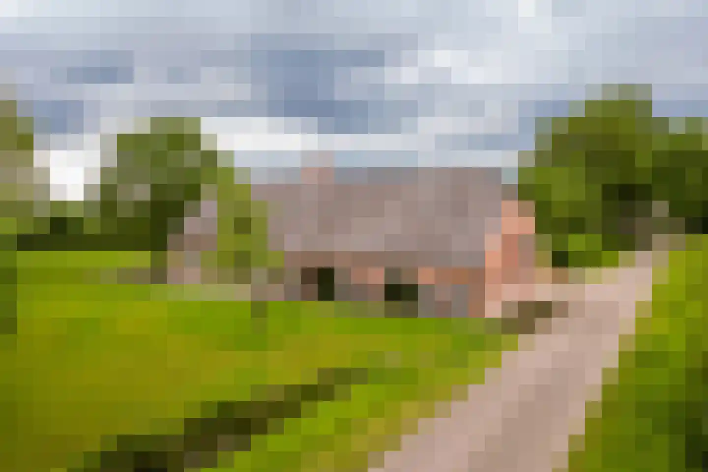 Notselseweg 1 Strijbeek thumbnail 74