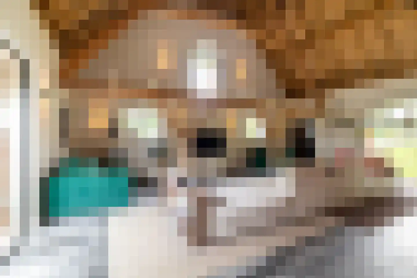 Notselseweg 1 Strijbeek thumbnail 9