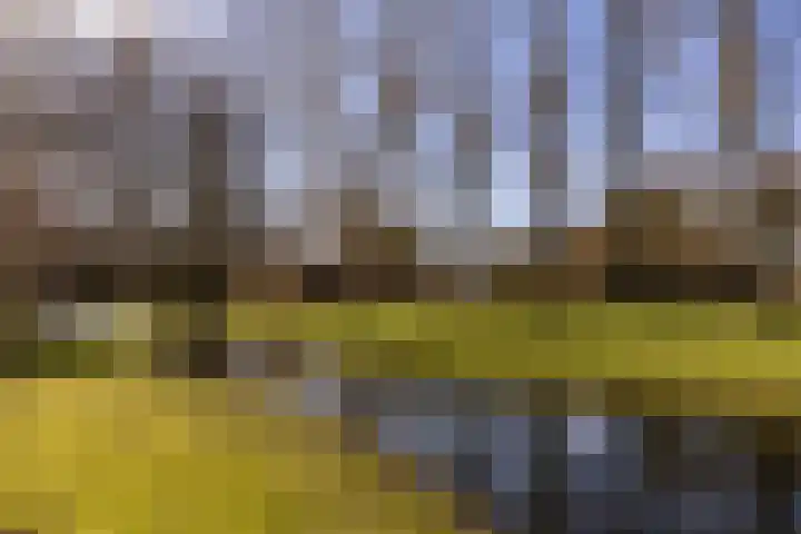Notweg 2 Oterleek thumbnail 12