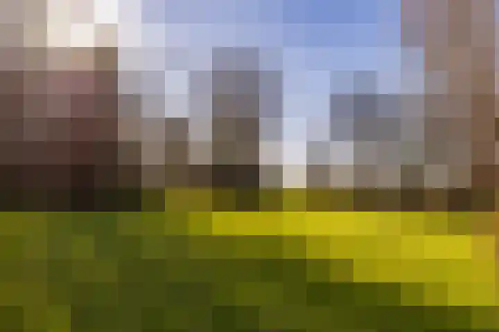 Notweg 2 Oterleek thumbnail 16