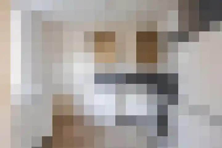 Notweg 7 Ezinge thumbnail 13