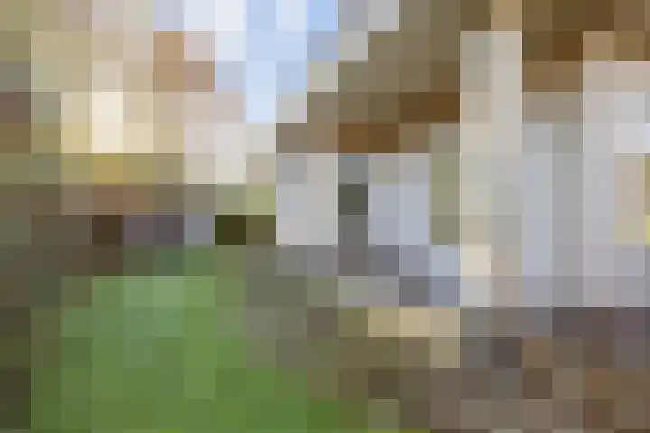 Notweg 7 Ezinge thumbnail 34