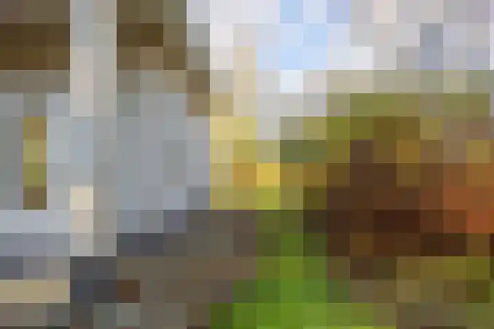 Notweg 7 Ezinge thumbnail 35