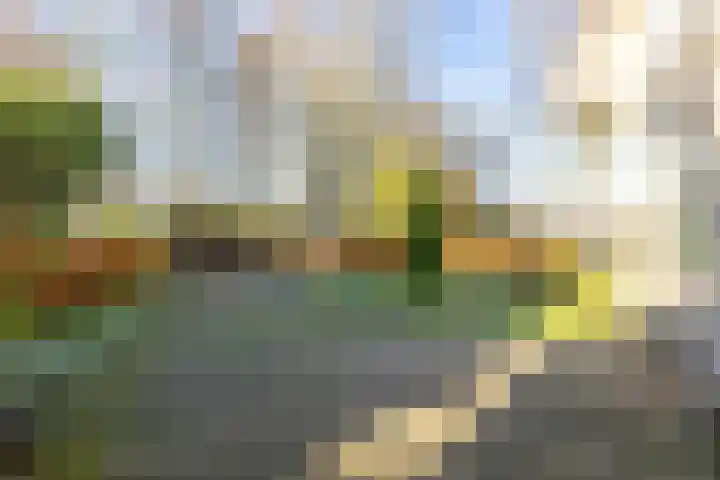 Notweg 7 Ezinge thumbnail 4