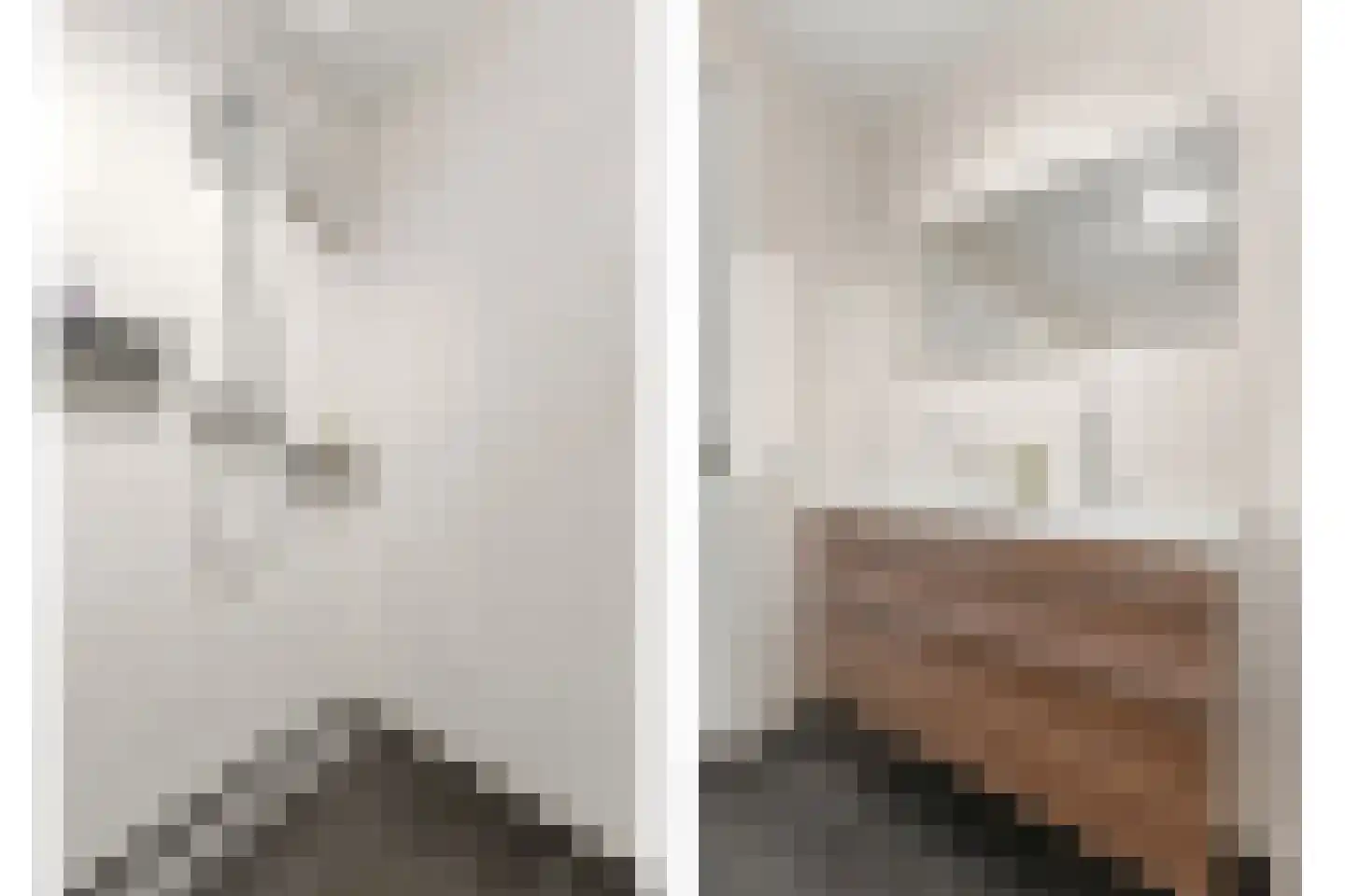 Nouchka Fontijnpad 1 Schiedam thumbnail 33
