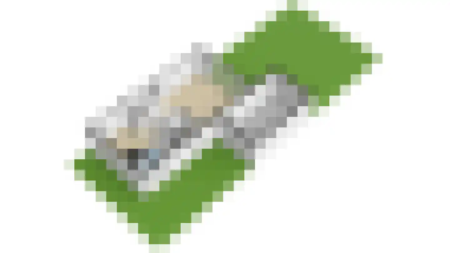 Nouchka Fontijnpad 1 Schiedam thumbnail 55