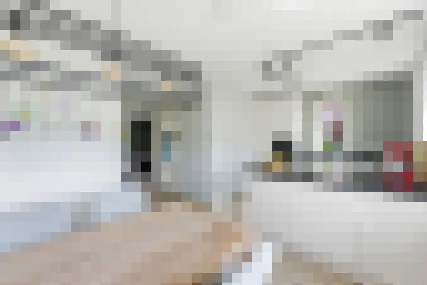 Nouchka Fontijnpad 1 Schiedam thumbnail 7