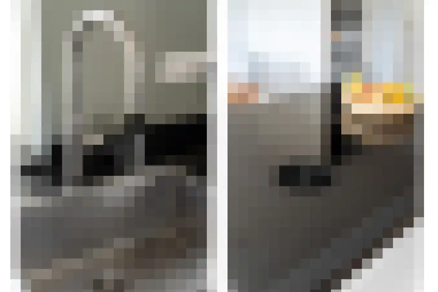Nouchka Fontijnpad 1 Schiedam thumbnail 9