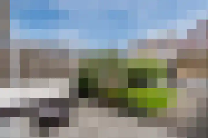 Nova Zembla 23 Noord-Scharwoude thumbnail 42