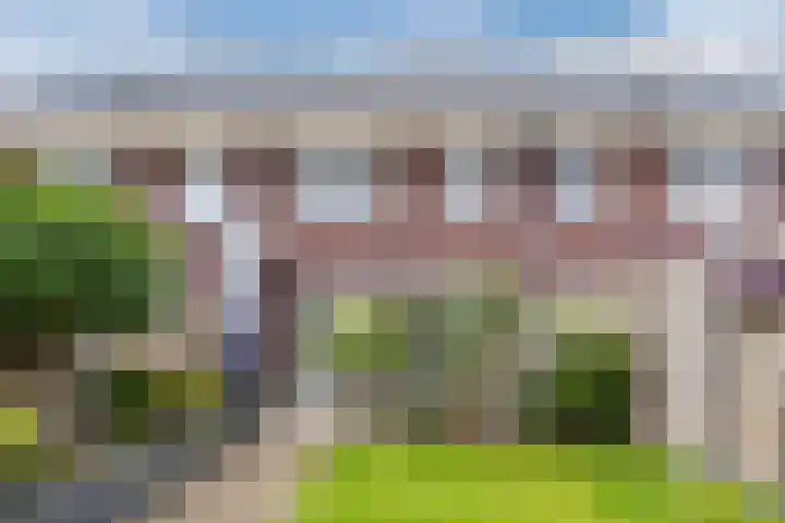 Nova Zembla 23 Noord-Scharwoude thumbnail 48